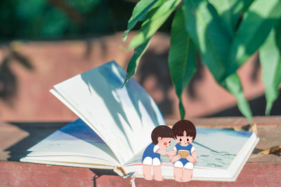 本科有學(xué)位報(bào)考美國(guó)費(fèi)爾菲爾德大學(xué)國(guó)際碩士需滿足什么條件？